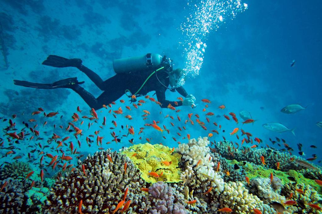 House 23 Ezulwini In Sodwana Bay Lodge ภายนอก รูปภาพ
