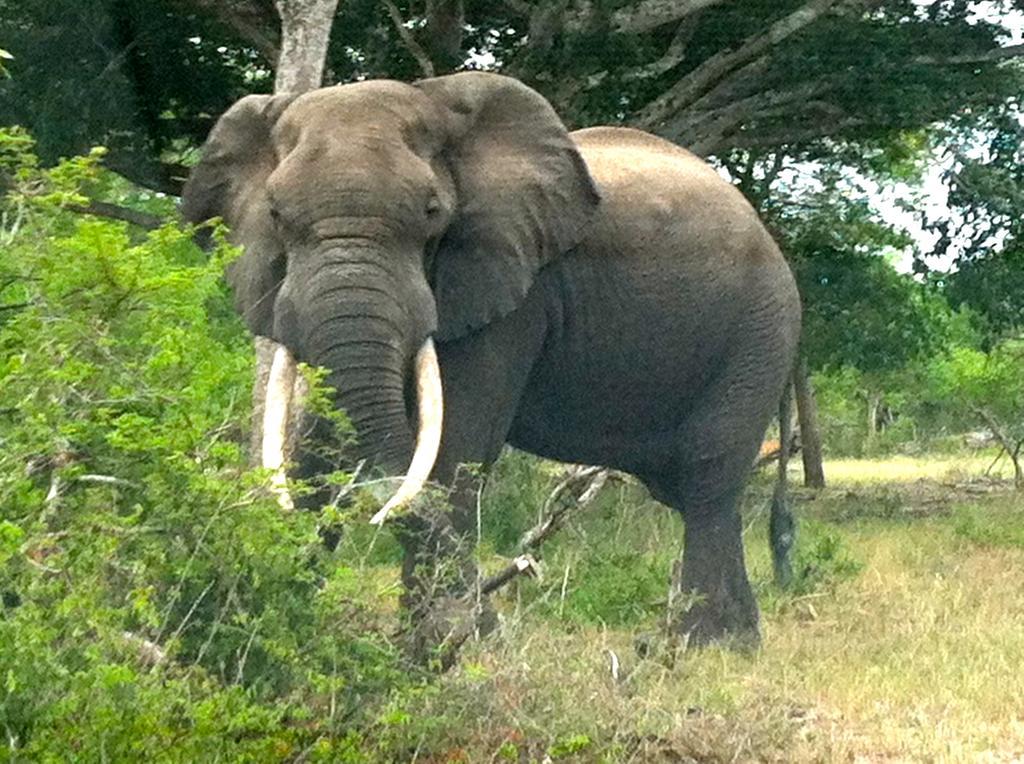 House 23 Ezulwini In Sodwana Bay Lodge ภายนอก รูปภาพ